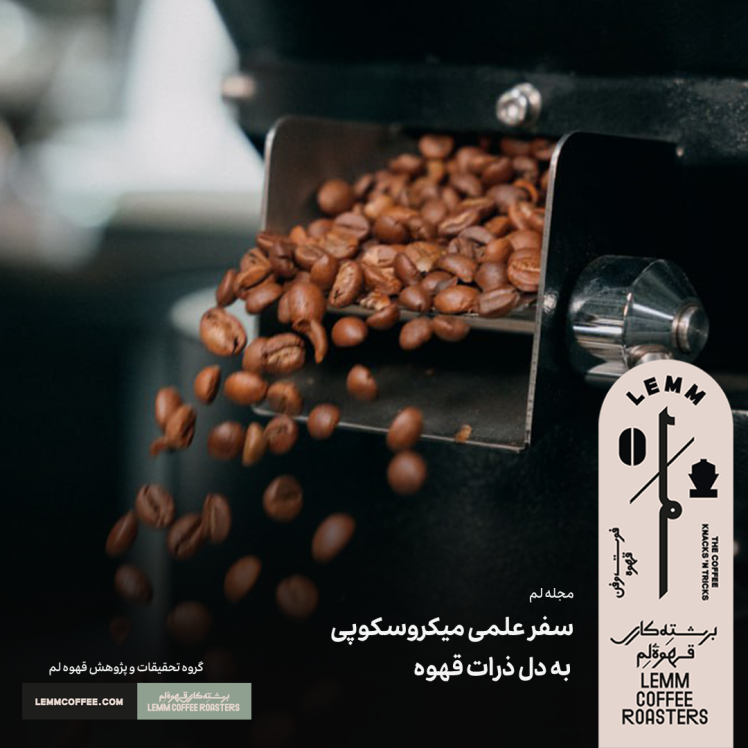 سفر علمی میکروسکوپی به دل ذرات قهوه